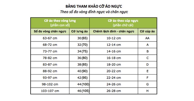 Bảng tham khảo cỡ áo ngực